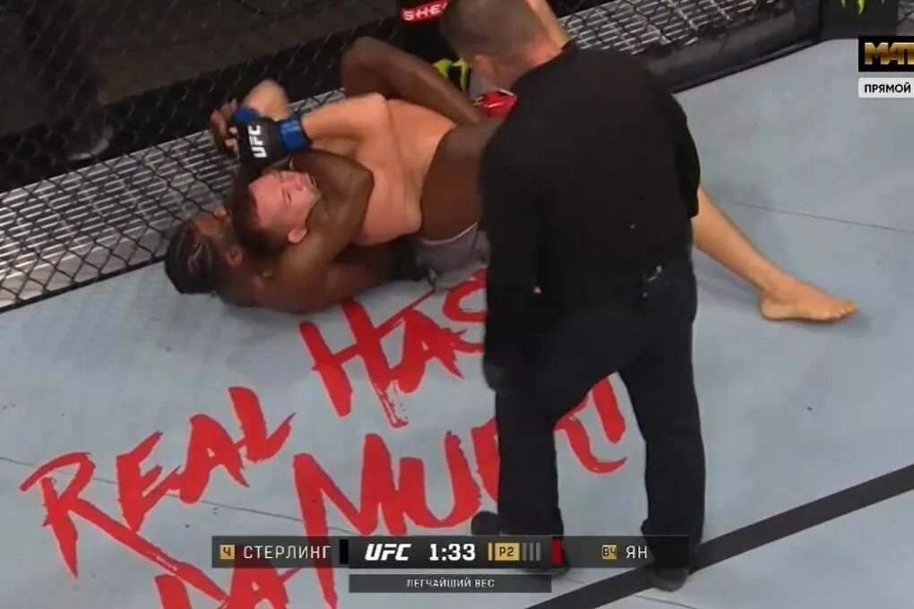 Реванш бой. Цзю чарло. Битва реванш 10 02. Бокс. Бойцы мма омск.