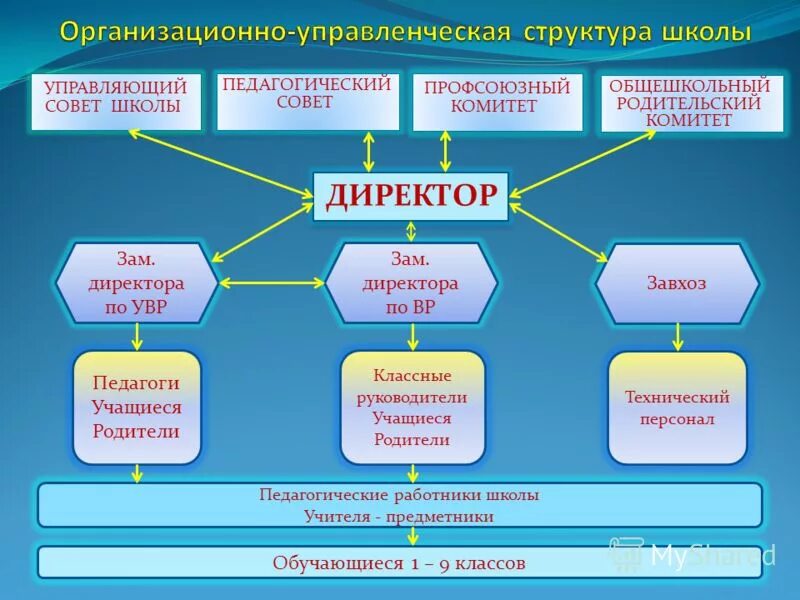 Проблемы управления школой. Управляющий совет образовательного учреждения. Структура родительского комитета в школе. Структура управляющего совета школы. Структура управления школой.