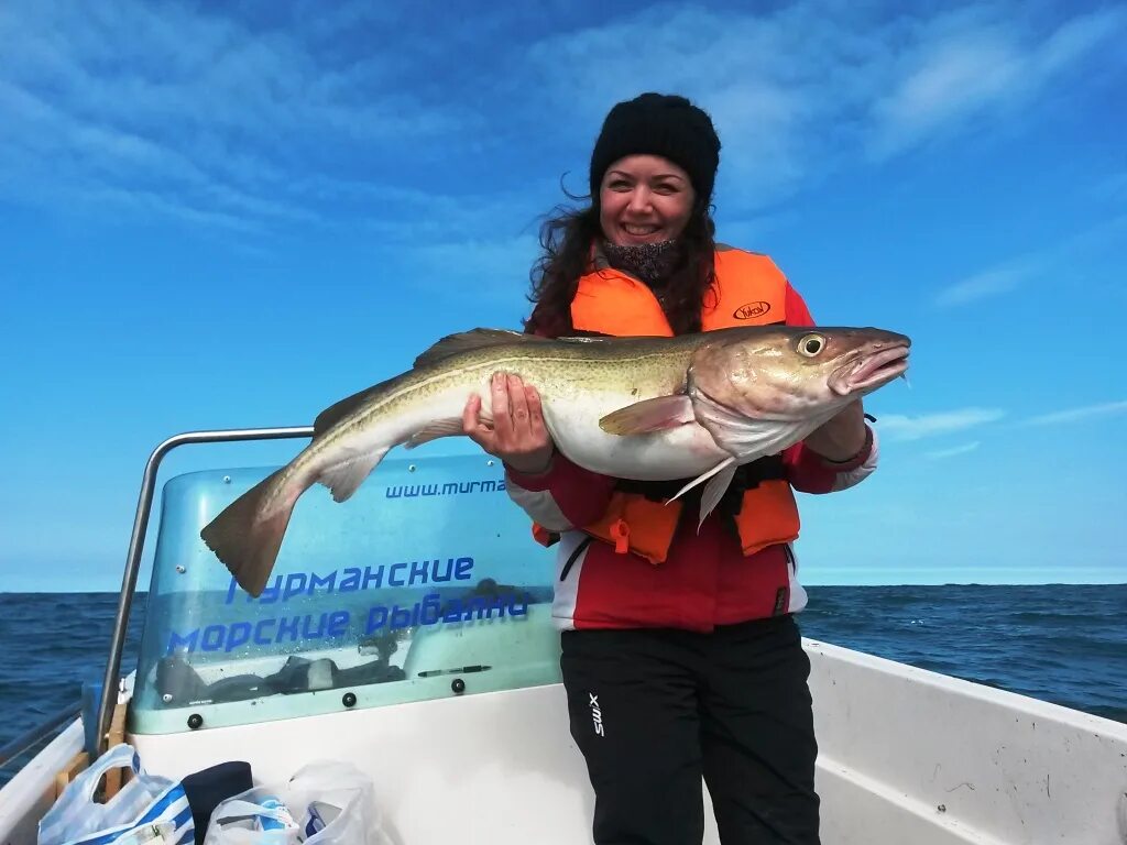 ловля трески. рыбалка на море с каменистым дном. ловля трески на балтике в калининграде. рыбалка в норвегии. ловля трески.