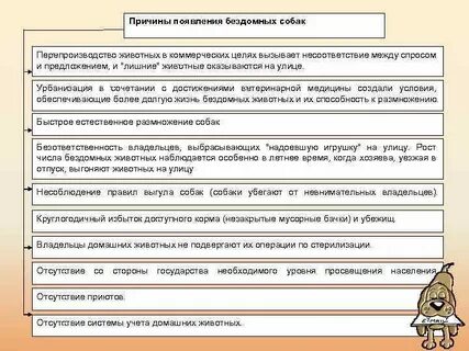 Причины появления бездомных животных