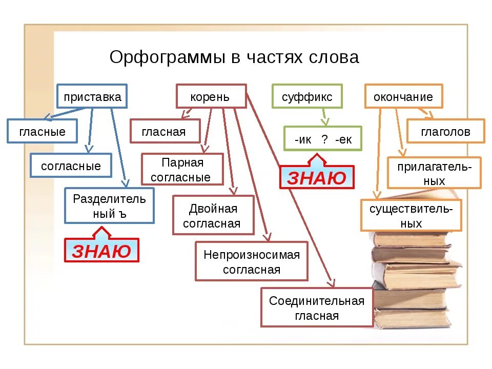 Распределить по орфограммам