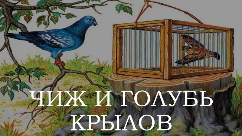 Басня голуби читать. Чиж и голубь крылова. чиж и голубь басня крылова. крылов чиж. мораль басни чиж и голубь крылова.