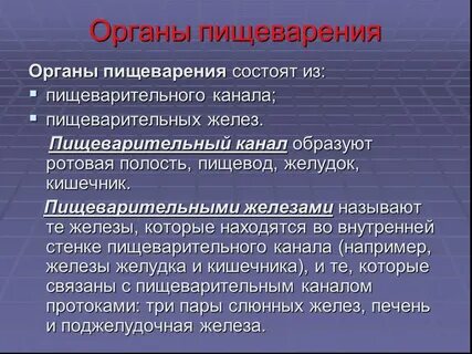 Суть пищеварения