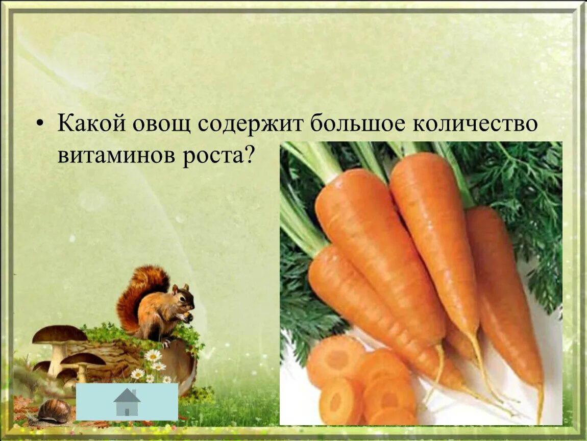 Витамин роста продукты. Витамины для роста. Какой овощ содержит большое количество витаминов роста. Овощи в которых содержится витамин роста. В каких овощах витамин роста.