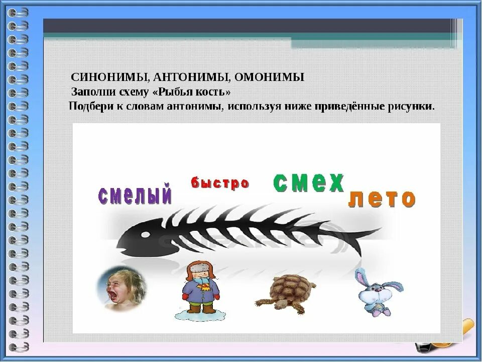 Синонимы к слову тесто. Омонимы. Синонимы антонимы омонимы. Фразеологизмы омонимы. Синонимы рисунок.