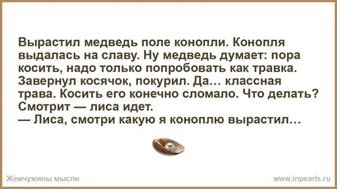 Утро выдалось прохладное золотое веселое