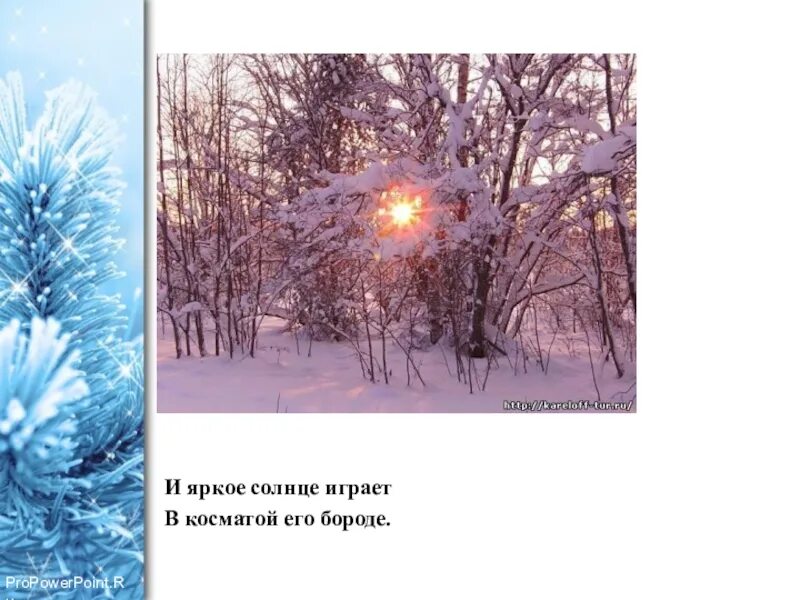 Сняв мокрую косматую шапку отпутав шаль