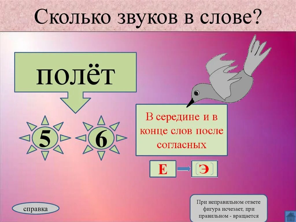 Сколько звуков. Слова и звуки. Полет сколько звуков. Количество звуков в слове. Звуки слов магазин