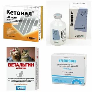 Какие обезболивающие можно котенку