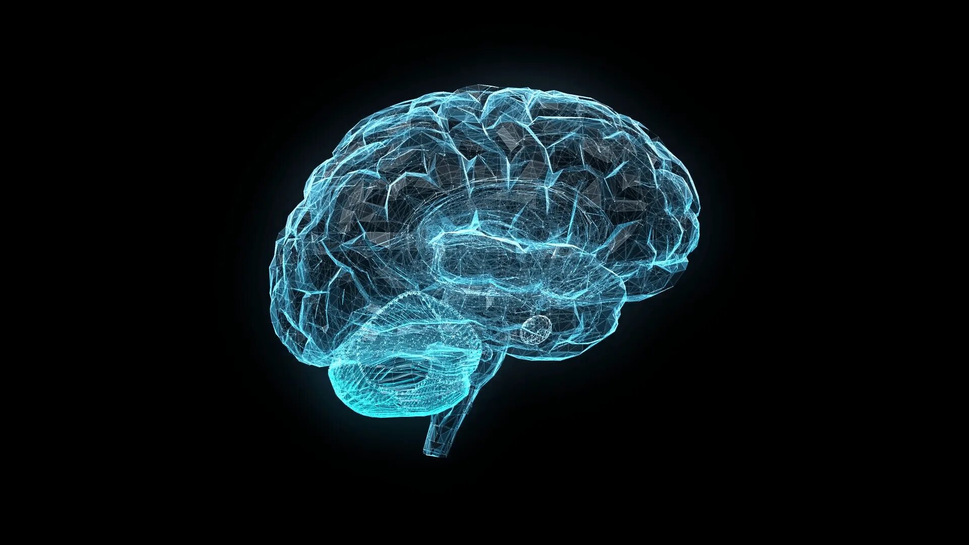 Brains talks