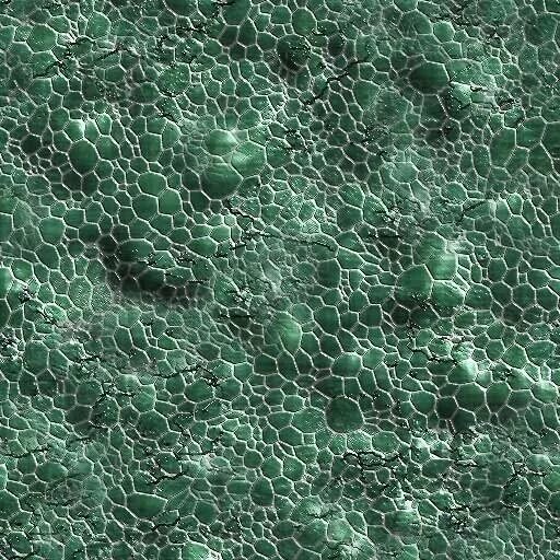 512 512 textures