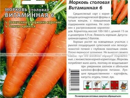 Какие сорта моркови лучше сажать