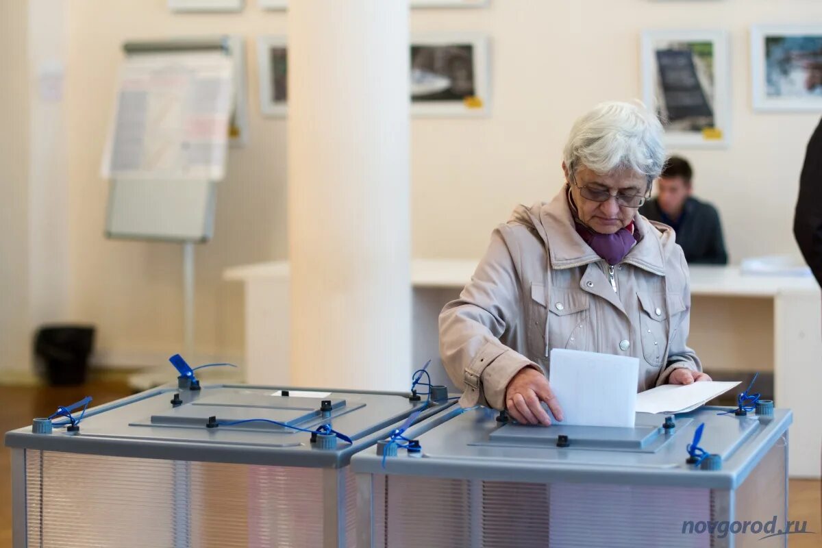 Выборы Новгородская область. Лебедева избирком Великий Новгород. Выборы президента в Великом Новгороде. Выборы в городскую Думу Великий Новрого.