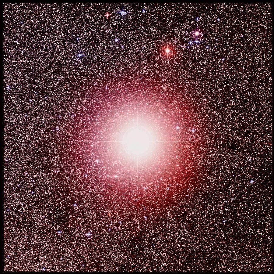 Большой гигант звезда. Звезда-гигант Бетельгейзе. Красные гиганты звезды Гакрукс. VV Цефея звезда.