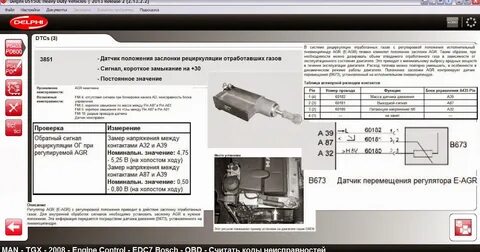 Хонкай стар ошибка