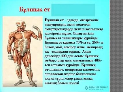 Әйелі орысша