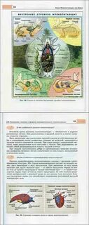 Трайтак биология 7 класс