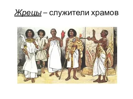 Основные занятия жрецов