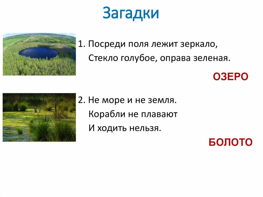 Презентация озера болота. Загадки про болото. Загадки про болота. Загадка о болоте. Загадки о жителях болот.