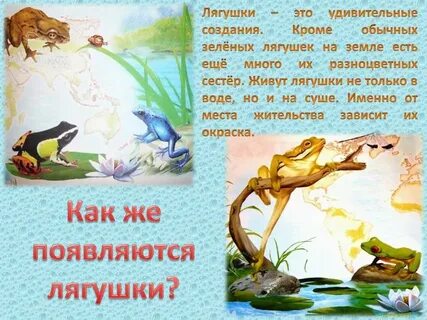 Появление лягушки