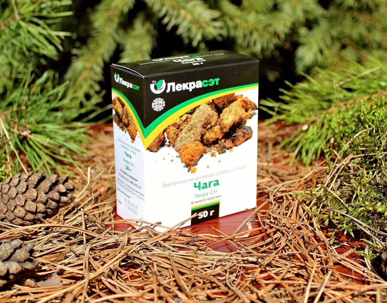 Трава чага. Чага чай голос севера. Гриб чага. Чага алтайские травы 50 г. Чага березовая чай.
