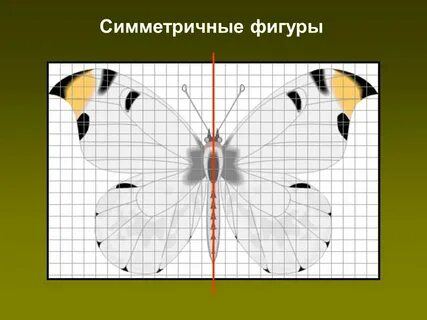 Симметрия рабочий лист 4 класс