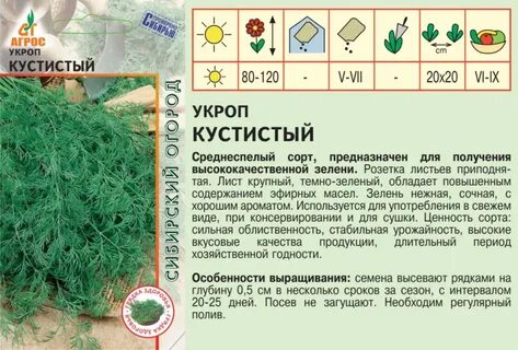 К какой группе относится укроп