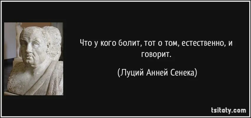 Что из этого следует следует жить. Луций Анней Сенека цитаты. Луций Анней Сенека век живи век учись тому как следует жить. Высказывания Сенеки. Афоризмы о жизни Сенека.