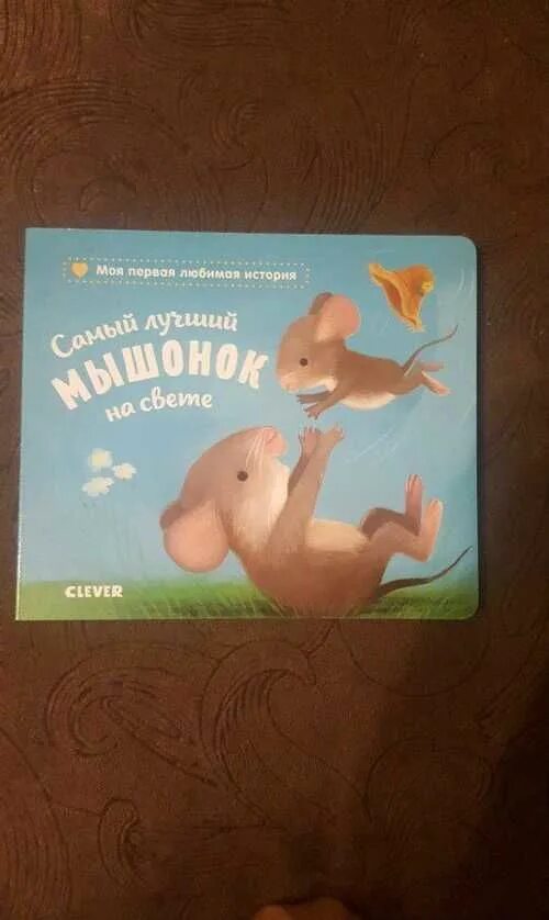 Книга про мышь. Книги Клевер про мышонка. Книжка картонка самый лучший мышонок на свете. Армстронг книга про мышонка.