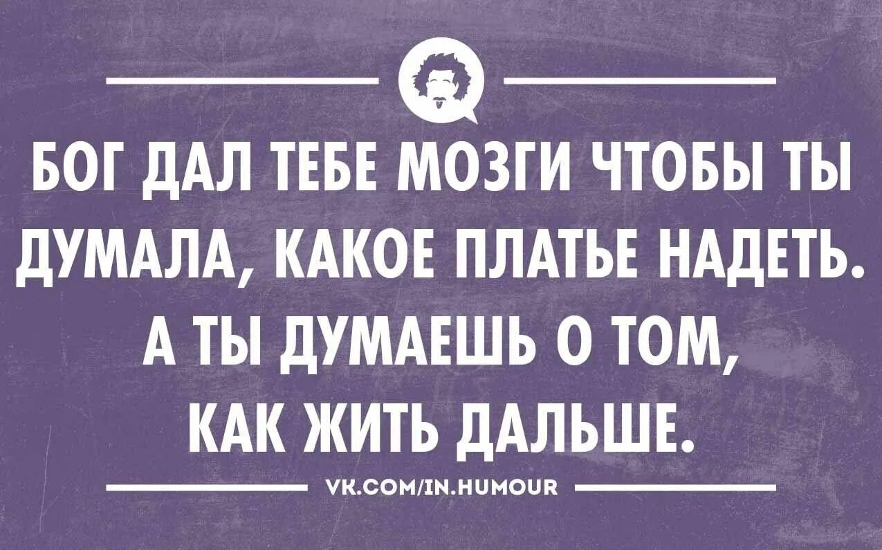 Анекдот про мозг. Нудный человек. Смешные цитаты. Самый нудный человек. Бог дал тебе мозги.