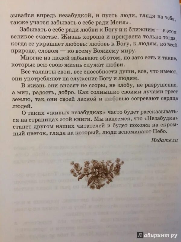 Незабудка рассказ. Изложение Незабудка 3 класс русский язык. Сказка о незабудке план. Сказка Незабудка. Изложение с элементами сочинения Незабудка.