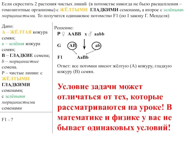 При скрещивании чистых линий между