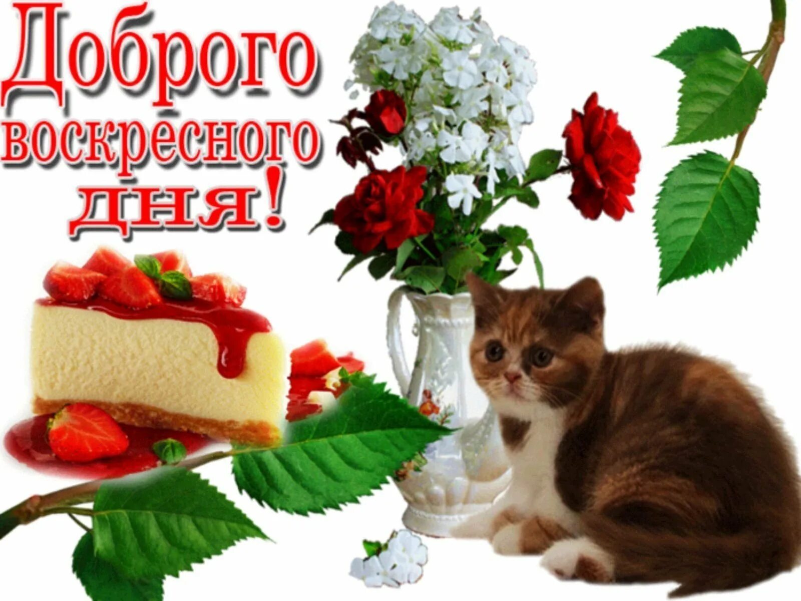 Доброго воскресного утра и отличного дня. Хорошего воскресенья. доброго воскресенья. открытки с воскресеньем. доброго воскресного дня.
