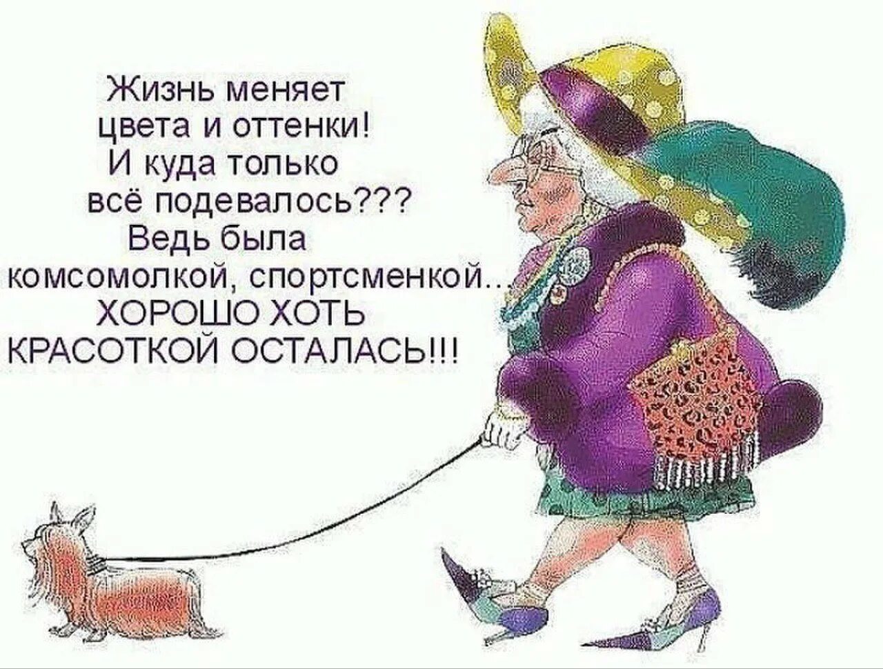 Проза прикол. Веселые афоризмы про старость. шутки про возраст. пенсия поздравления прикольные. поздравление пенсионерки с юмором.
