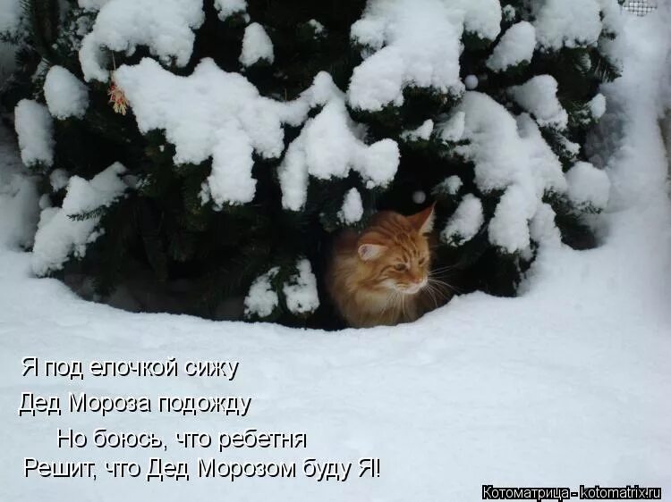 Приколы про зиму и весну. Приколы про зиму и весну. Анекдот про весну прикольные. Жду весну. Все было никак не ощутить эту зиму.