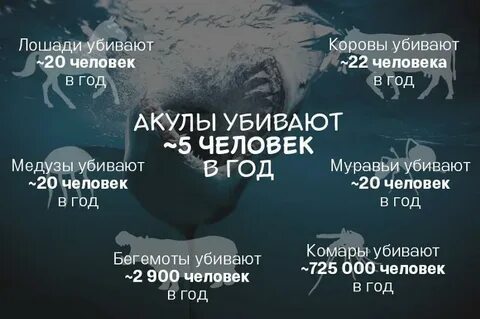 Сколько человек в год умирает от кокоса