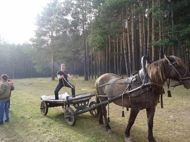 Иметь коня. Я хочу иметь лошадь. Если бы я имел коня. Если б конь имел меня. Если б я имел коня это был