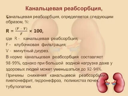 Почечный диурез