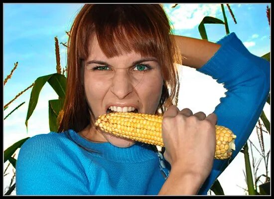 Большая кукурузина. Кукурузина Ивана Кузина. Девушка ест кукурузу. Огромная Кукурузина.