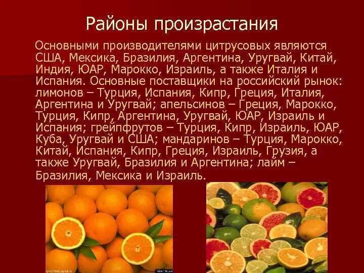 Апельсины страны производители. Апельсины место произрастания. Страна апельсинов. Цитрусовые субтропические и тропические плоды требования к качеству. Карта произрастания мандаринов.