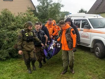 Алерт поиск