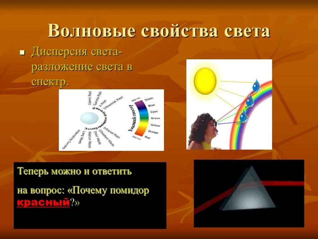 Изучение волновых свойств света. Свойства света. Волновые явления света. Волновые свойства света. Волновые свойства света презентация 9 класс