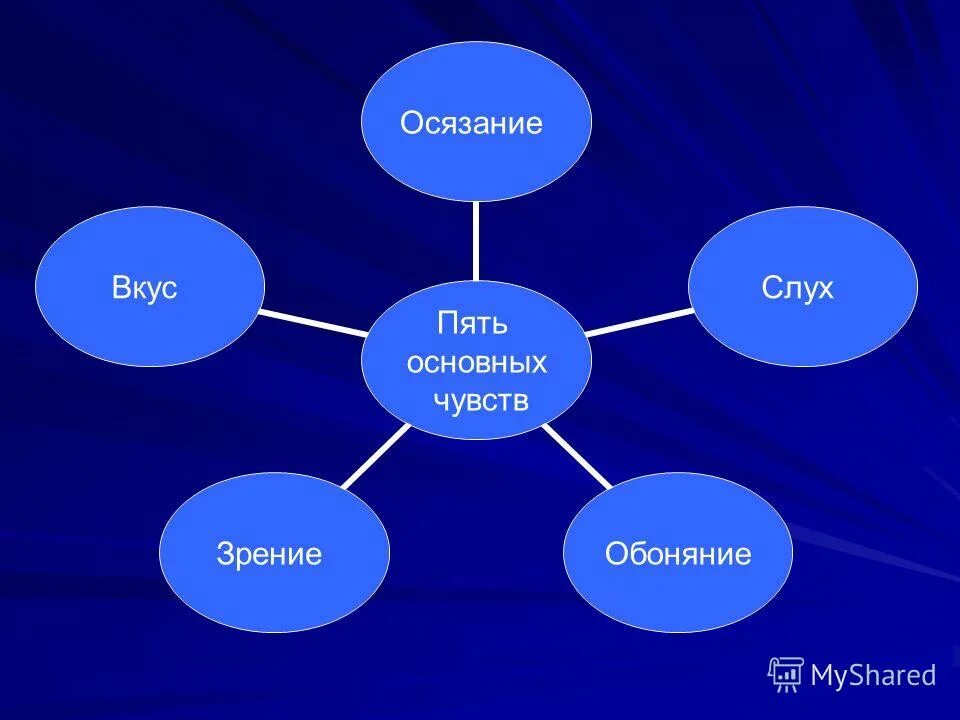 пять основных эмоций. пять главных эмоций. пять основных эмоций. базовые эмоции человека. пять основных чувств человека.