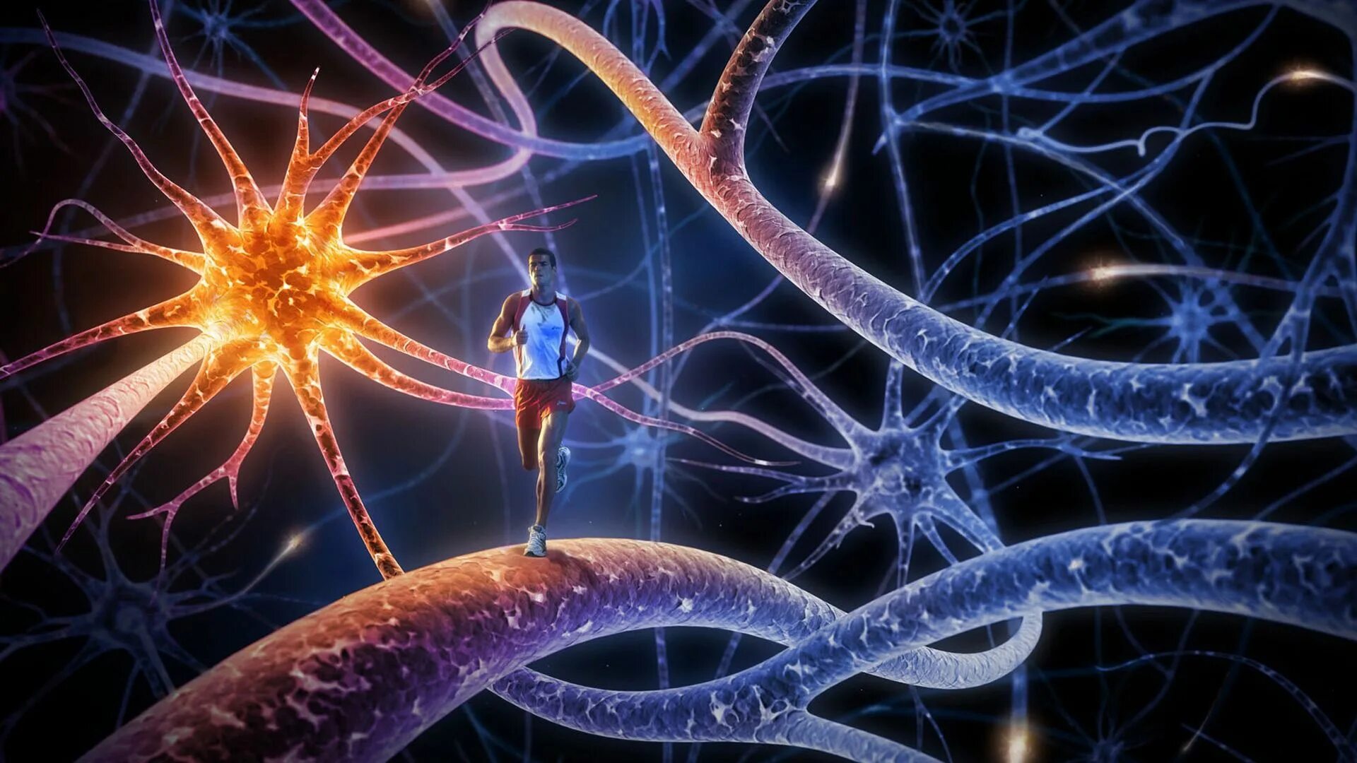 Биохимия клетки. Вирус разума. Изображение разума. Головной мозг анимация. Вирус разума.