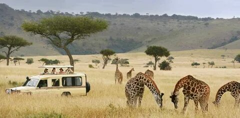 Wildlife tour