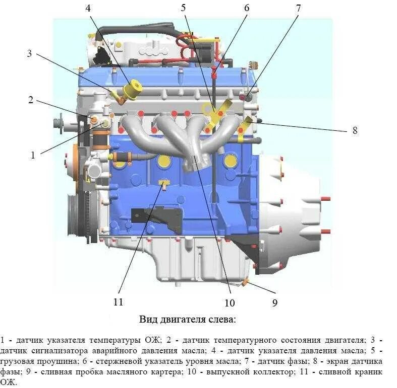 Система охлаждения двигателя ЗМЗ 409 евро 3. Схема датчиков двигателя ЗМЗ 409. Система охлаждения двигателя ЗМЗ 409. Датчик давления масла УАЗ Буханка ЗМЗ 409. Датчик давления масла 409 двигатель