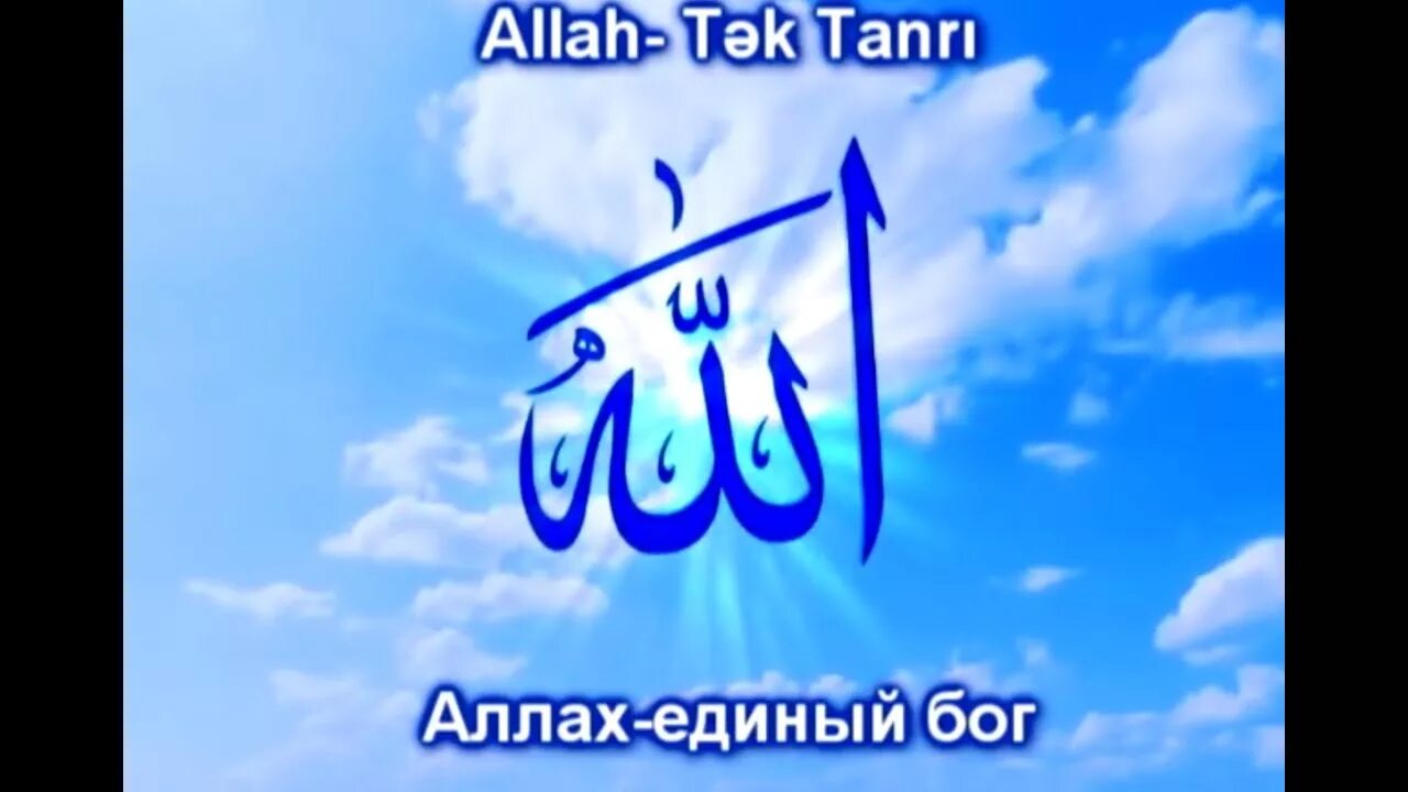 Нашид 99
