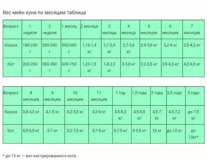 Вес котенка в 6