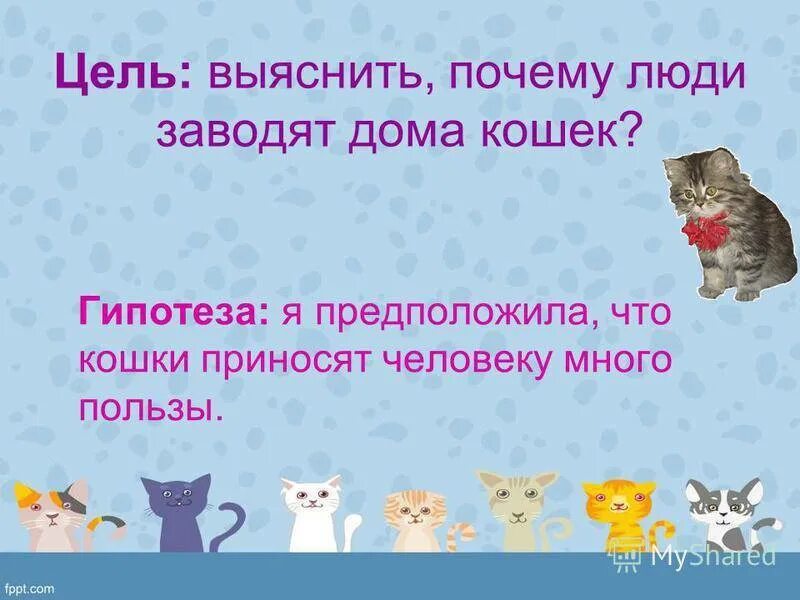 Зачем заводят кошек. Почем ЮДИ заводят кошек. Гипотеза о домашних кошках. Почему люди заводят кошек.