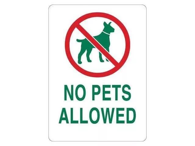 No Pets allowed. Pets are not allowed. Pets not allowed знак на белом фоне. No Pets allowed знак на хромакее. Not allowed tv текст